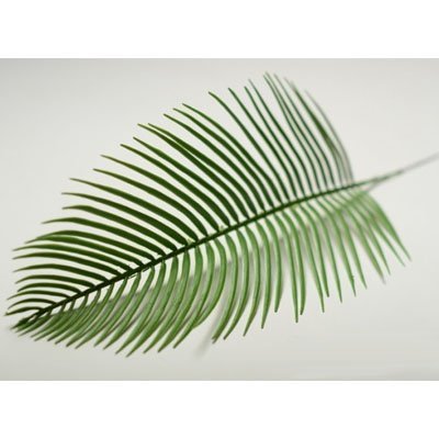 Лист зелени Пальма Перо зеленый 47см