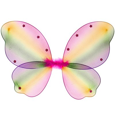 Крылья Бабочки цветные
