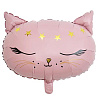 Котики Шар фигура Кошка голова розовая 1207-4959