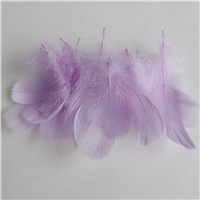 Перья декор св-фиолетовый 100шт/25