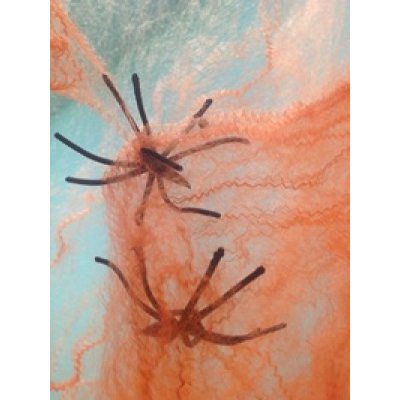 Паутина оранжевая с пауками