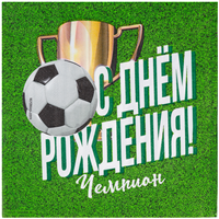 Салфетки большие ДР Футбол, 12 штук