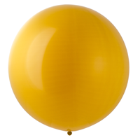 Э 24"/218 Фэшн Mustard