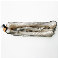 Кости человека 12шт