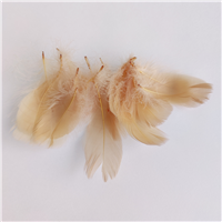 Перья декор песочный 100шт/4