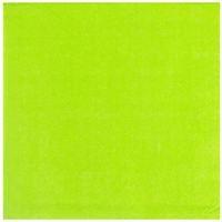 Салфетка светло-зеленая 33см 12шт