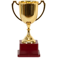 Кубок чемпиона 19см