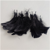 Перья декор черный 100шт/27
