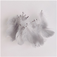 Перья декор серый 100шт/2