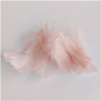 Перья декор шампань 100шт/3