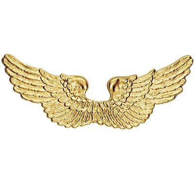 Крылья ангела пластик золото