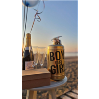 Огнетушитель Гендер Пати 2л розовый