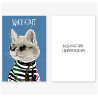 Открытка ДИКО КРУТ Кот 10х15см