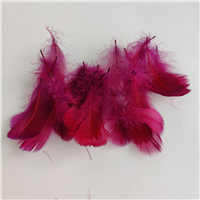 Перья декор винный 100шт/14