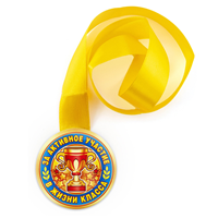 Медаль ЗА АКТИВНОЕ УЧАСТИЕ ЖИЗНИ КЛАССА