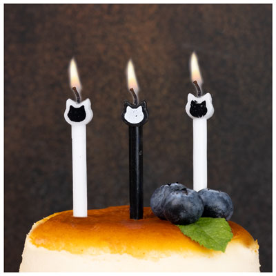 Свечи для торта Котики, 8 штук