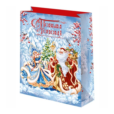 Пакет Пакеты Дед Мороз и Снегурочка 41х56см