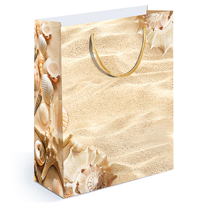 Пакет бум Песочный с ракушками 18х23см