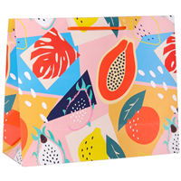 Пакет бум 47x40см Тропический