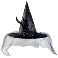 Шляпа ведьмы перо/вуаль черная 42см