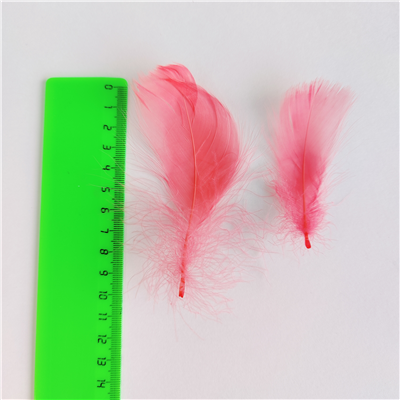 Перья декор коралловый 100шт/10