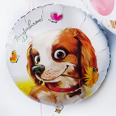 Шарик 45см Поздравляю! Собака с цветком
