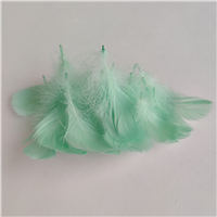 Перья декор мятный 100шт/15