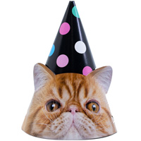 Колпаки Котики фотографичные, 6 штук