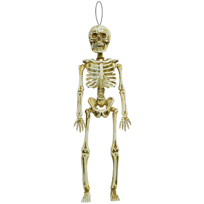 Скелет HWN пластиковый, 40 см