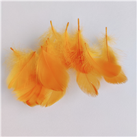 Перья декор янтарный 100шт/9