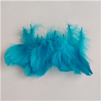 Перья декор голубой 100шт/22