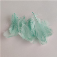 Перья декор бирюзовый 100шт/20
