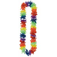 Гавайи Цветы радуга