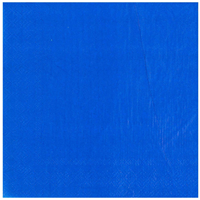 Салфетка синяя 33см 12шт