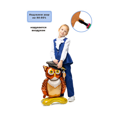 Шар фигура Сова Выпускник, под воздух