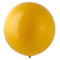Желтая Э 24"/218 Фэшн Mustard 1102-2745