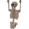 Скелет на цепях без ног 95см