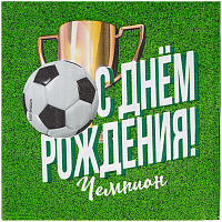 Футбол Салфетки большие ДР Футбол, 12 штук 1502-5269