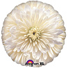 Шар 18", 45см, Цветок Астра белая 1202-2392