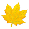 Баннер-комплект Осенние листья блеск
