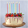 Свечи для торта Ассорти 17см 24шт