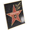  Диплом Голливудская звезда с маркером 2003-1026