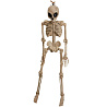  Скелет Пришельца 110см 2006-1295