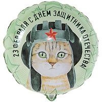 Камуфляж Шарик 45см 23 ФЕВРАЛЯ Кот в шлемофоне 1202-3730