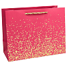 Пакет бум подар Вкрапления микс 23х18см