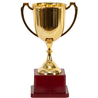 Футбол Кубок чемпиона 19см 1507-1723