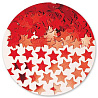 Красная Конфетти Звезды красные 14гр 1501-0193