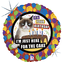 Оскорбления Шар 45см Just for cake Сердитая Кошка 1202-3485