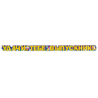 Школьный Праздник Гирлянда УДАЧИ ТЕБЕ ВЫПУСКНИК! 300см 1505-2223