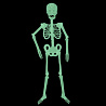 Вечеринка Хэллоуин Скелет, светящийся в темноте, 90 см 1501-5179